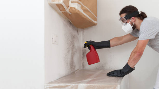 Professional Bathroom Mold Removal technician working in Kendall Park, NJ