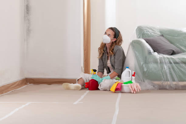 Reliable Bathroom Mold Removal contractor in Kendall Park, NJ by WQB Mold Removal